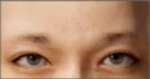 眉毛17