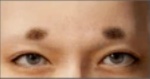 眉毛31