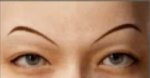 眉毛33