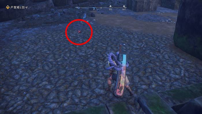 キンズヤモリがいる場所