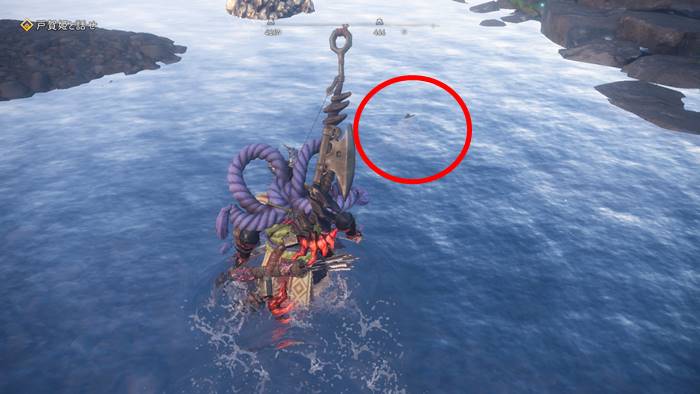 コウラトトがいる場所