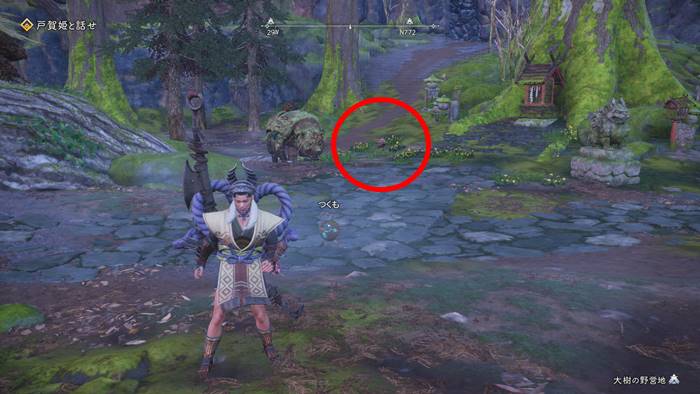 サクラノテントウがいる場所