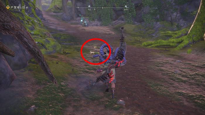 ゼンマイヤモリがいる場所