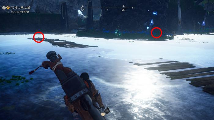 ハスツバメがいる場所