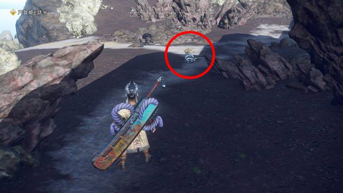 ホウライムグリがいる場所