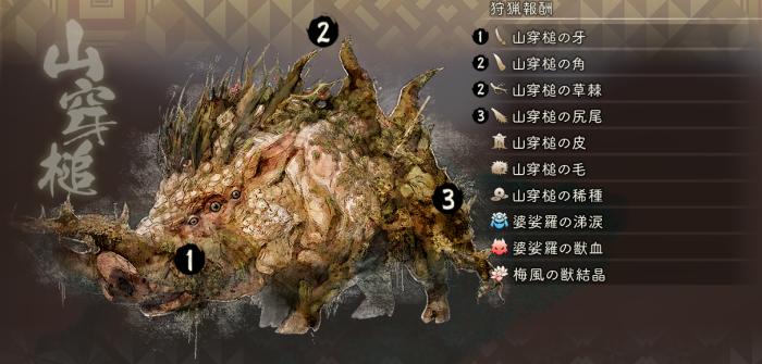 ヤマウガチ_狩猟報酬(通常)