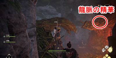 仙境の頂を求めて13