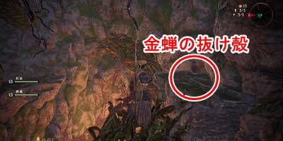 仙境の頂を求めて14