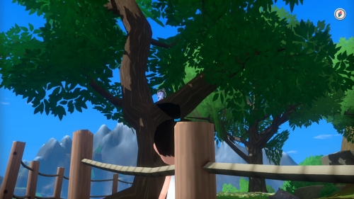 養蜂場の北の高台にある木の上詳細画像