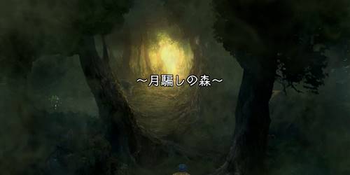 月騙しの森バナー