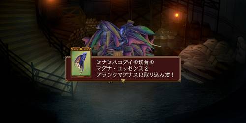 ミナミコハダイの切身