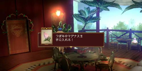 コモ・マイ宝11