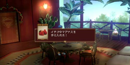 コモ・マイ宝12