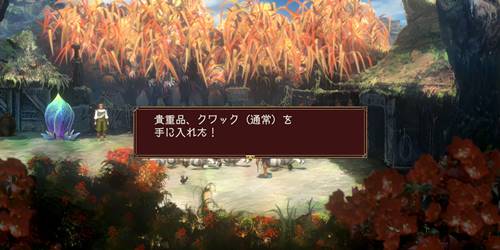 クワック（通常）