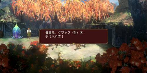 クワック（白）