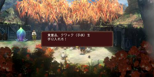 クワック（子ども）