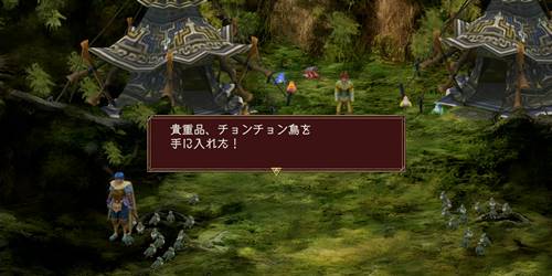 チョンチョン鳥