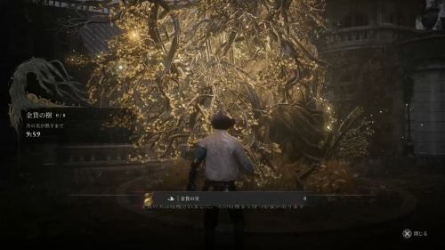 金貨の実の貯まる時間