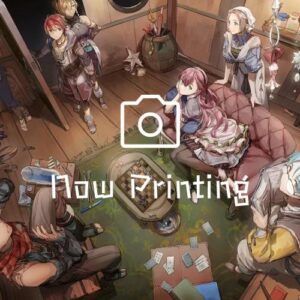 ビックカメラグループ（ビックカメラ / ソフマップ / コジマ）