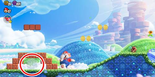 1-1-フラワーコイン1