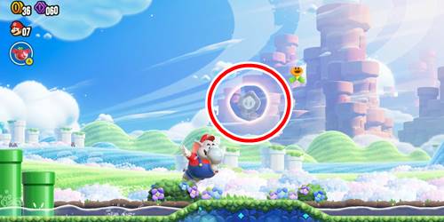 1-1ワンダーフラワー