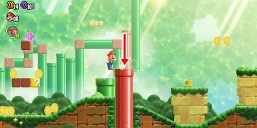 1-2-10フラワーコイン