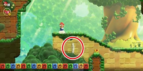 1-2-10フラワーコイン2