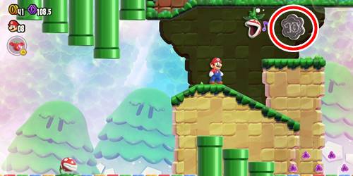 1-2-10フラワーコイン3