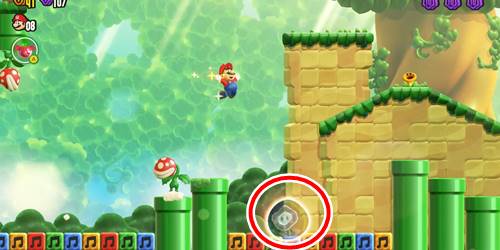 1-2-ワンダーフラワー