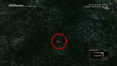 イチゴヤドクガエル