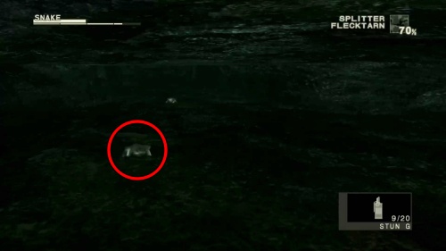 オットンガエル