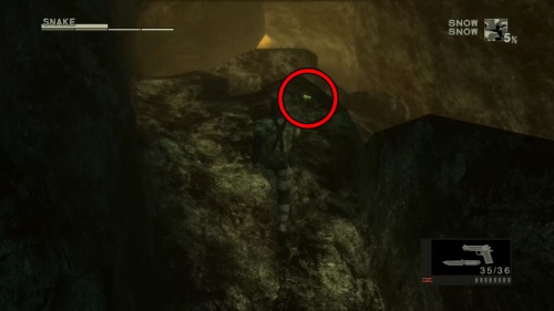 オロシャヒカリダケ