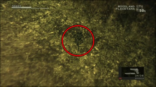 スラブニガハッカ