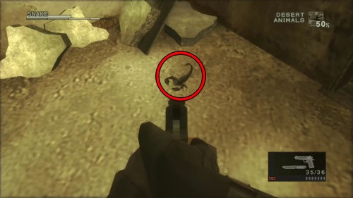 ダイオウサソリ