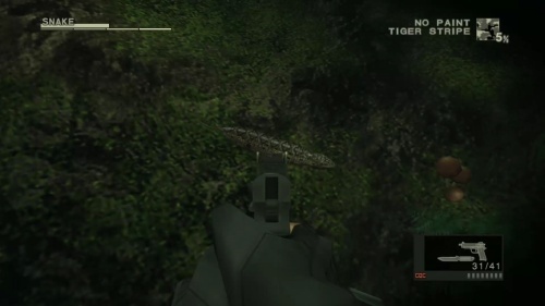 ツチノコ再捕獲