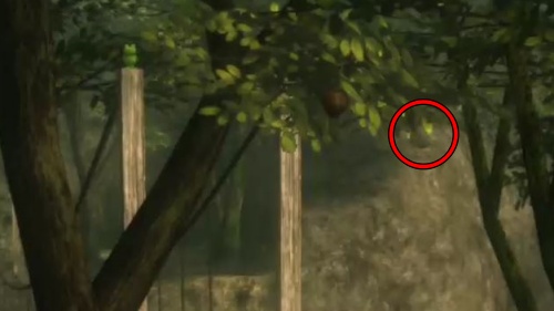 バルドスズメバチの巣