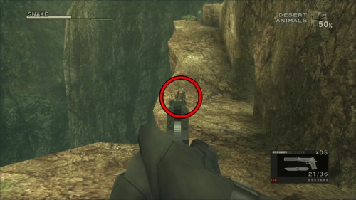 ベンガルハゲワシ