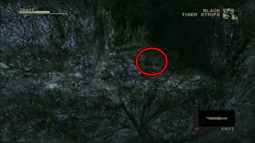 レインドロップ