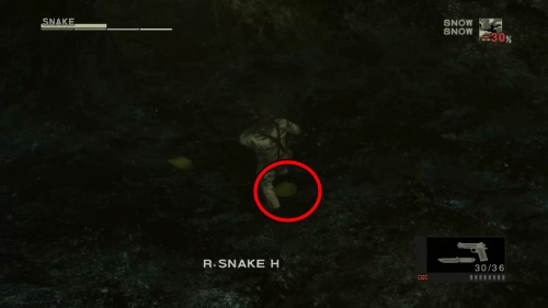 ロシアンマンゴー