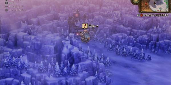 北のゴードン手順4