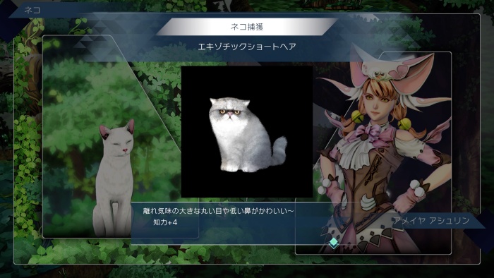 アメイヤ_グレートツリー_ネコ