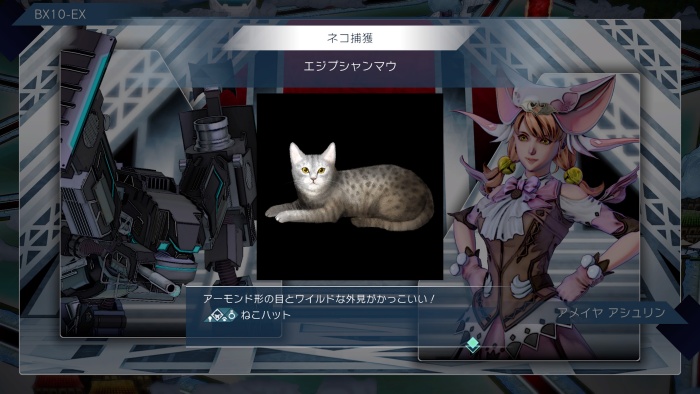 アメイヤ_ヴェルミーリオ_ネコ