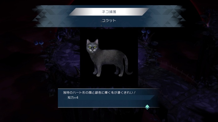 サガエメ_アメイヤ編_ネコ