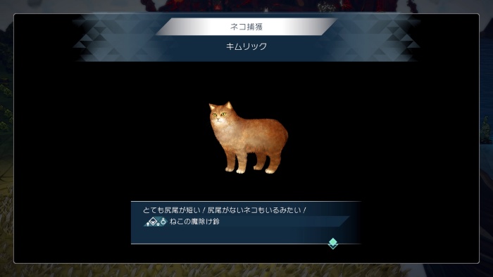 サガエメ_アメイヤ編_失意の中で