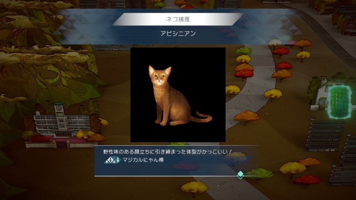 サガエメ_アメイヤ編攻略_アビシニアン