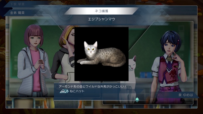 サガエメ_アメイヤ編攻略_エジプシャンマウ