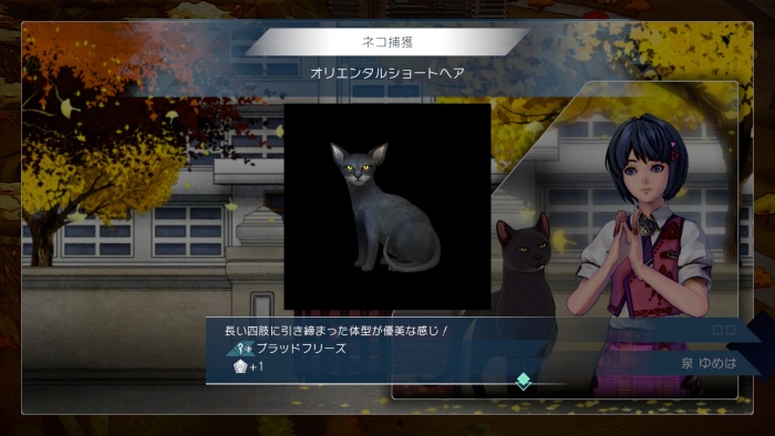 サガエメ_アメイヤ編攻略_オリエンタルショートヘア