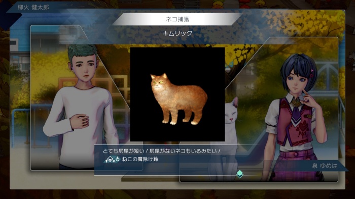 サガエメ_アメイヤ編攻略_キムリック