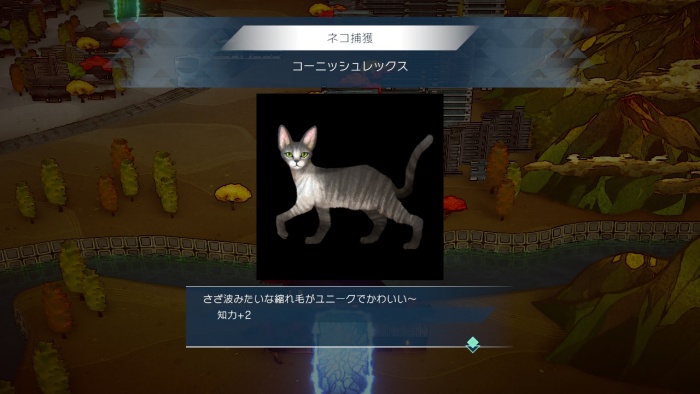 サガエメ_アメイヤ編攻略_コーニッシュレックス