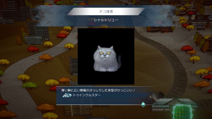 サガエメ_アメイヤ編攻略_シャルトリュー